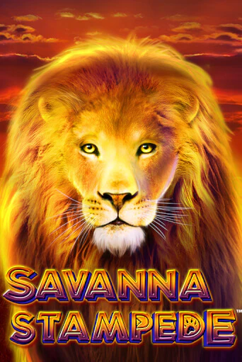 Savanna Stampede играть онлайн | Казино ПокерДом без регистрации